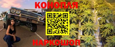 PSILOCYBIN Северобайкальск